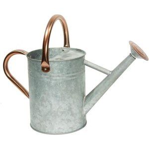 One Gallon Watering Cans Stainless Steel for Plants Watering (Zinc 1 Gallon)